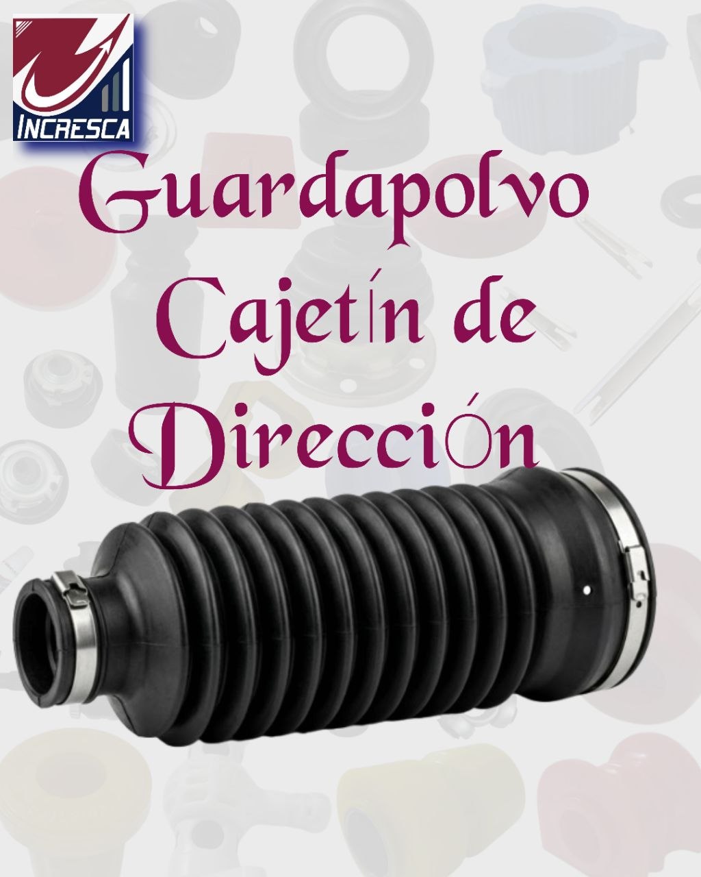 Guardapolvos de Cajetín de Dirección